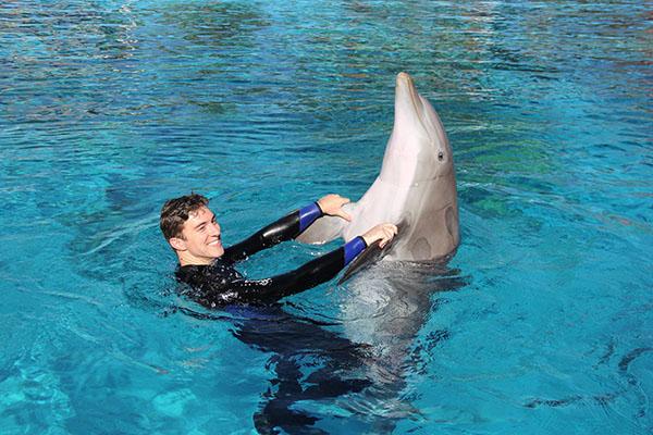 Swimming with the Dolphins in Las Vegas - Travel Codex