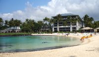 a beach with palm trees and a building