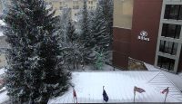 a building with snow on roof and trees