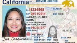 close-up of a driver license