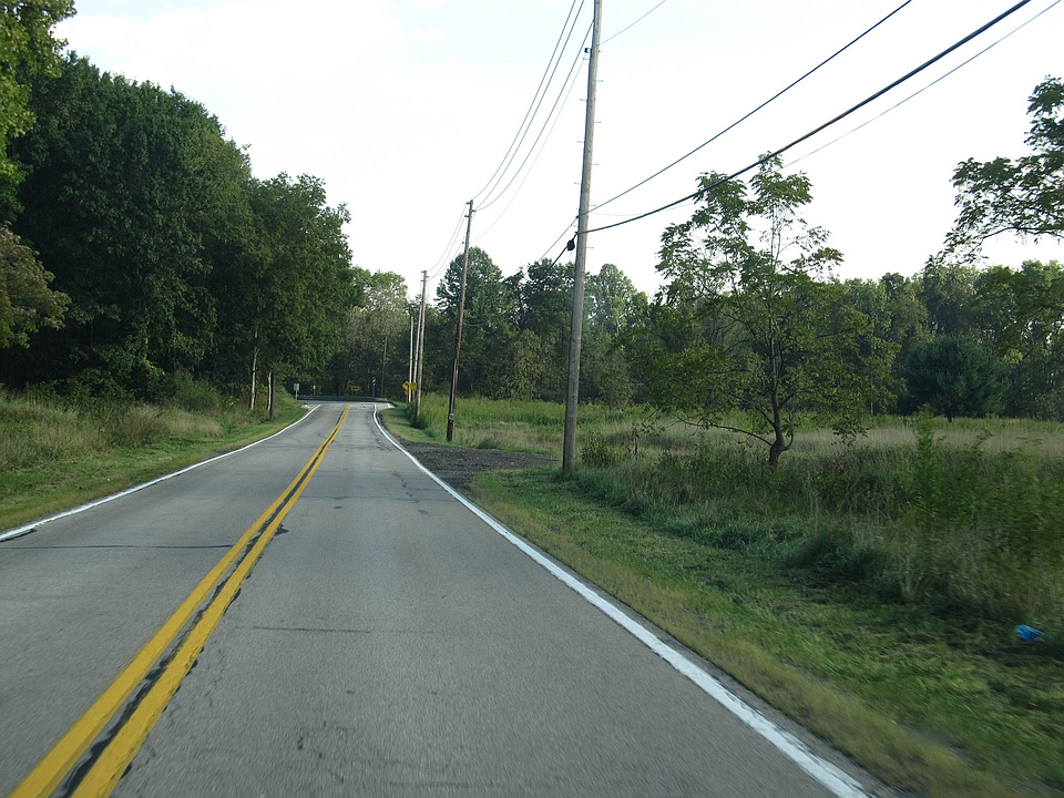 a road with trees and power lines