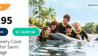 a group of people in the water with a dolphin