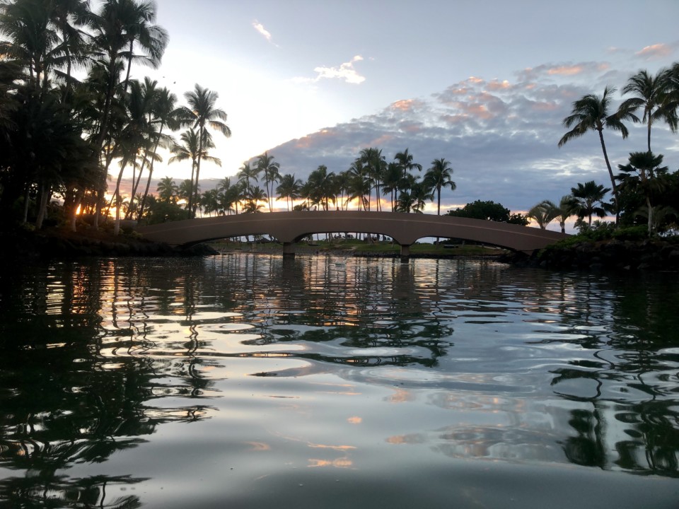 A pretty waterway beside the path - Picture of Hilton Hawaiian Village  Waikiki Beach Resort, Oahu - Tripadvisor