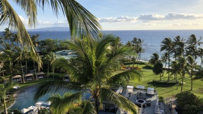 a pool with palm trees and a body of water