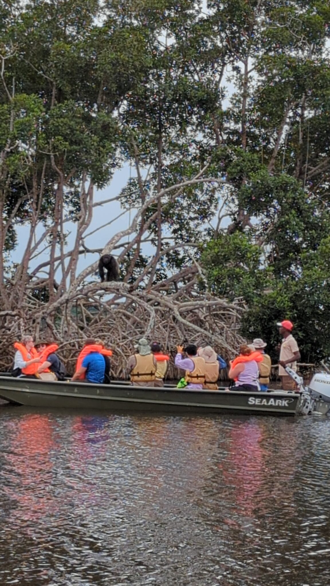 a group of people in a boat on water with a bear on the back