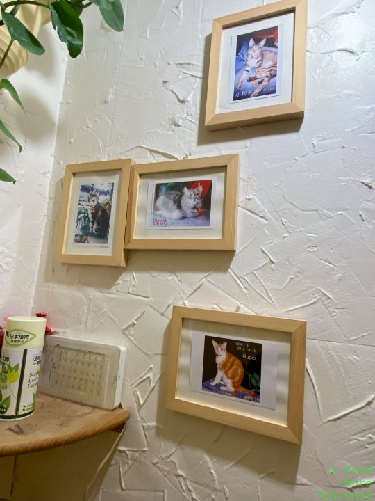 The ghosts of cats past at Cafe Dogs and Cats, Taipei