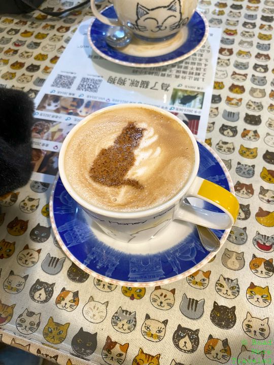 Big buildings, night markets, and cats in Taipei - cat art in cappuccino foam at Cafe Dogs and Cats