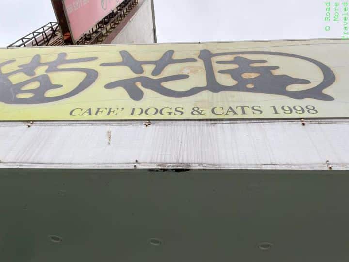 Cafe Cats and Dogs 1998, Taipei