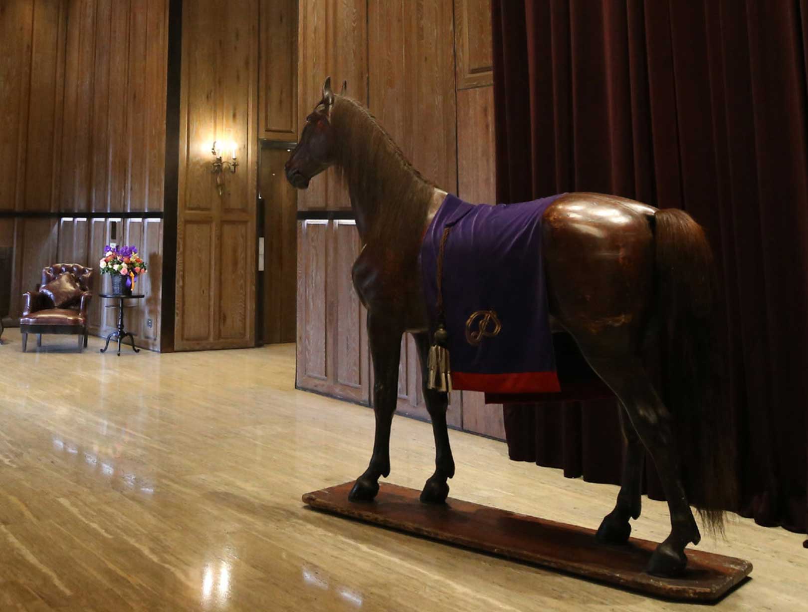 a horse with a cape on its back