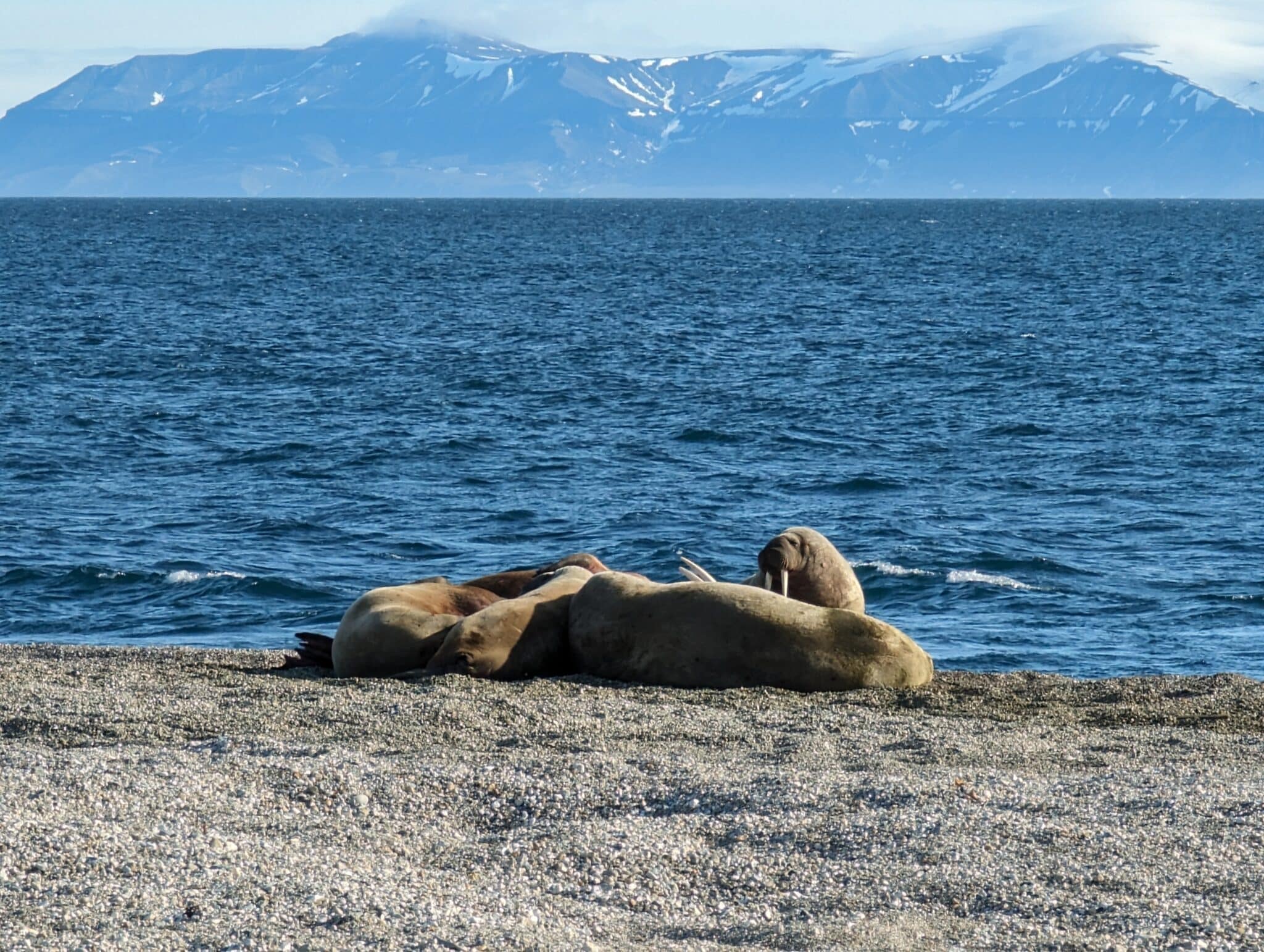 Greenland