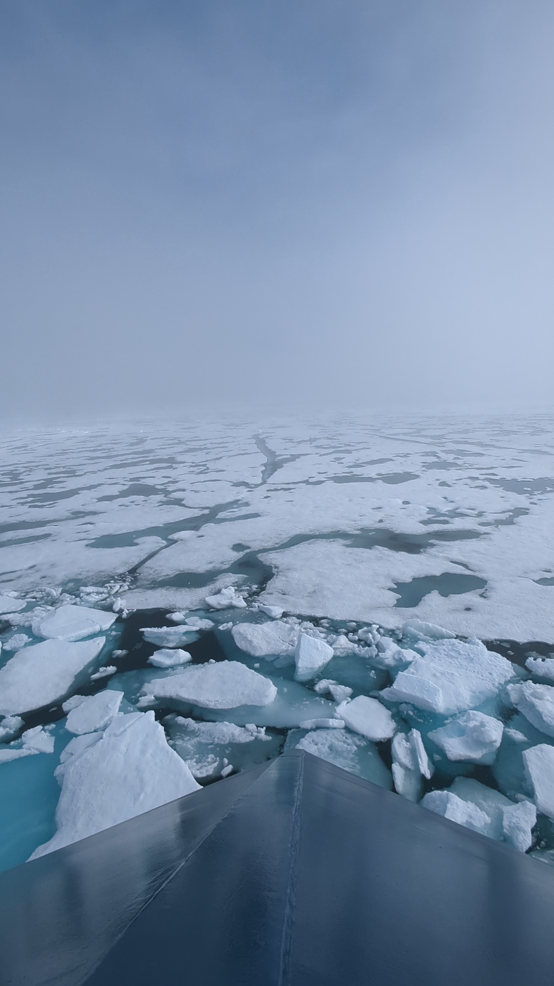 ice and ice on the water