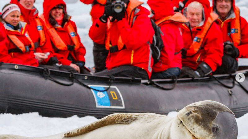 a seal on a boat in the snow